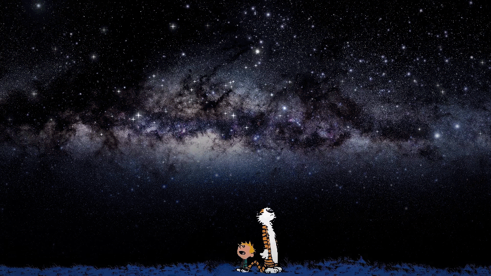 there are times... when all you can do is...  ​look up at the stars in the sky and wonder why  | Lone Quixote