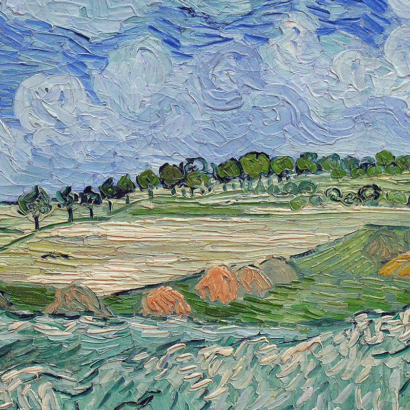 The Plain near Auvers (detail) by Vincent van Gogh | Lone Quixote