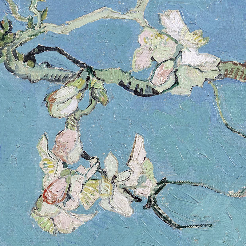 Almond Blossom (detail) by Vincent van Gogh | Lone Quixote 