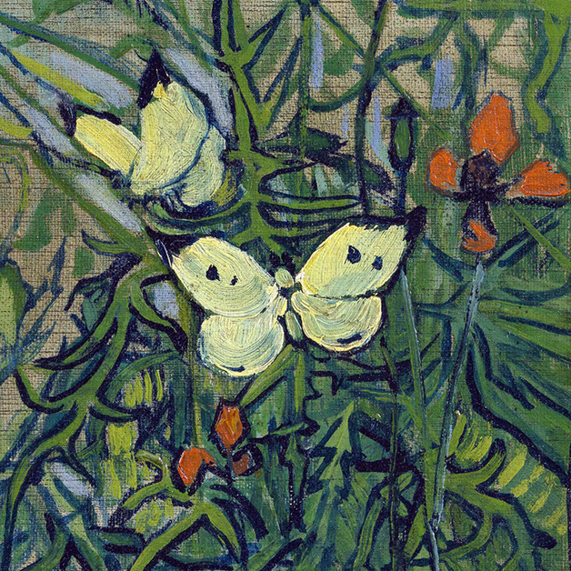 Butterflies and Poppies  (detail) by Vincent van Gogh 