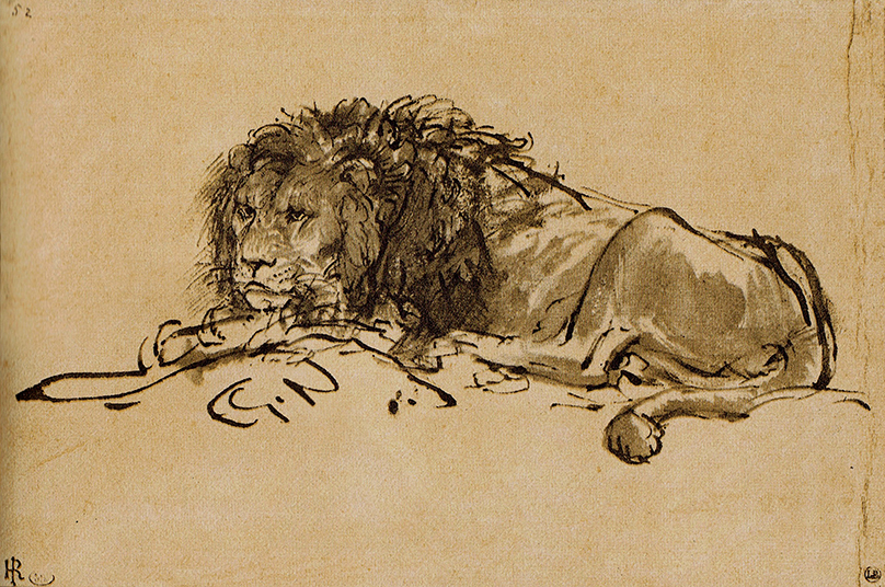 Lion Resting (sketch) by Rembrandt