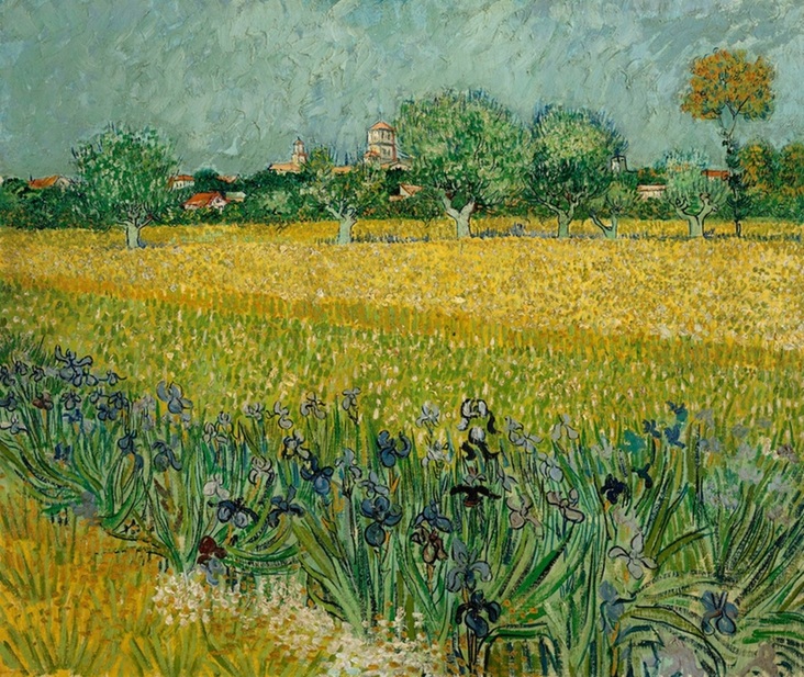 Field with Flowers near Arles by Vincent van Gogh | Lone Quixote