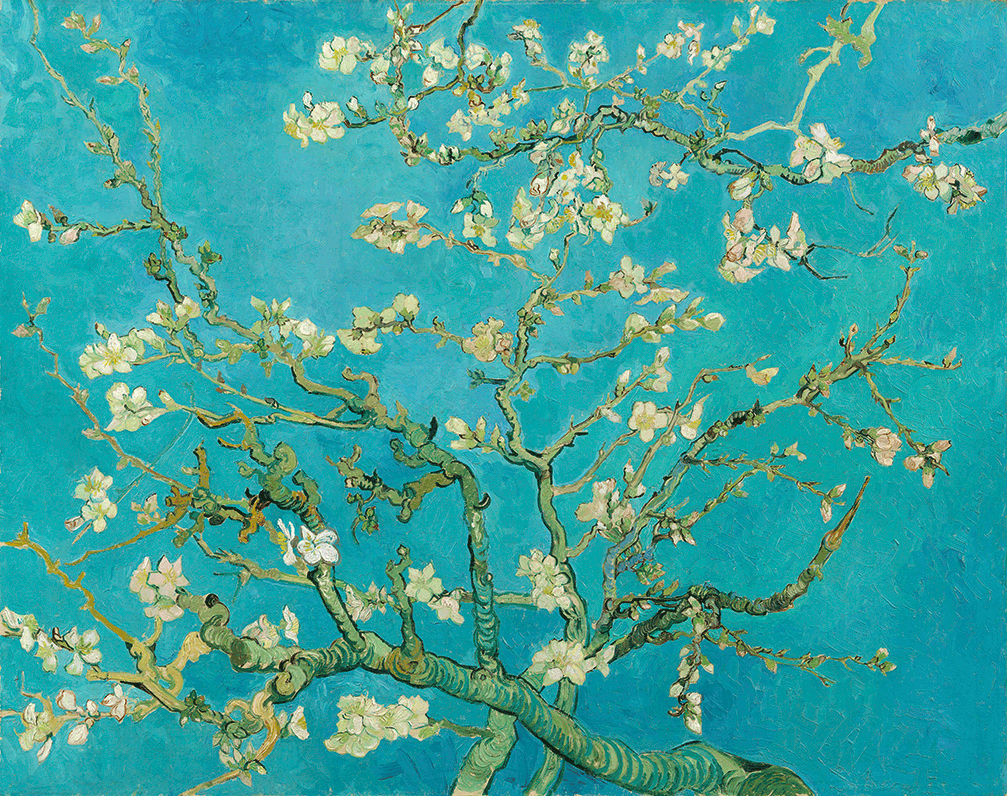Branches with Almond Blossom by Vincent van Gogh | Lone Quixote