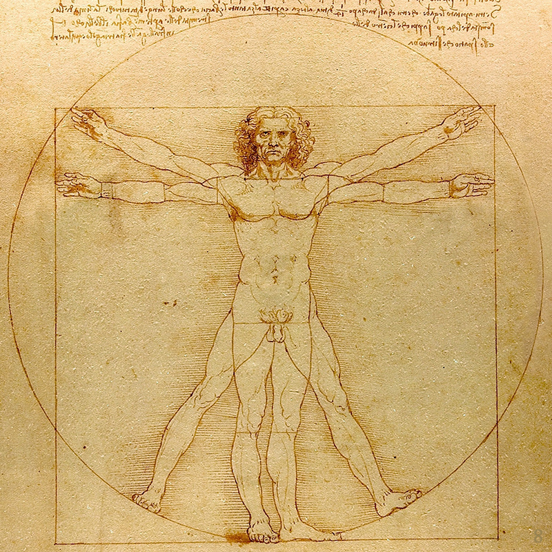 Vitruvian Man by ​Leonardo da Vinci | Lone Quixote