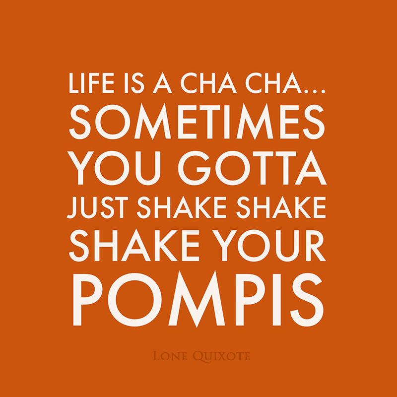 life is a cha cha... sometimes you gotta just shake shake shake your pompis | Lone Quixote