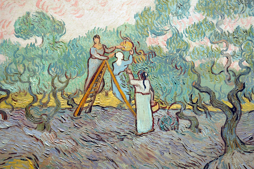 Women Picking Olives by Vincent van Gogh | Lone Quixote