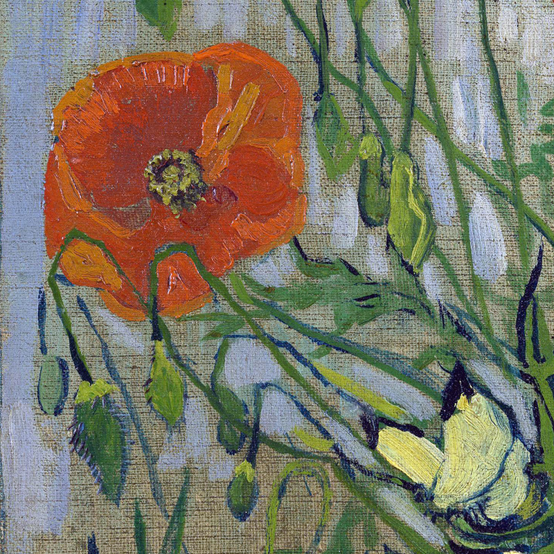 Butterflies and Poppies (detail) by Vincent van Gogh