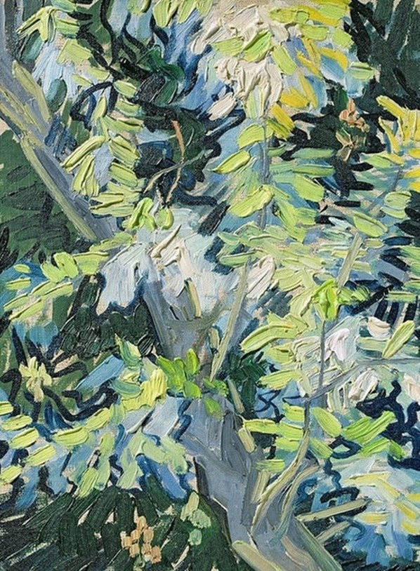 Blossoming Acacia Branches by Vincent van Gogh | Lone Quixote