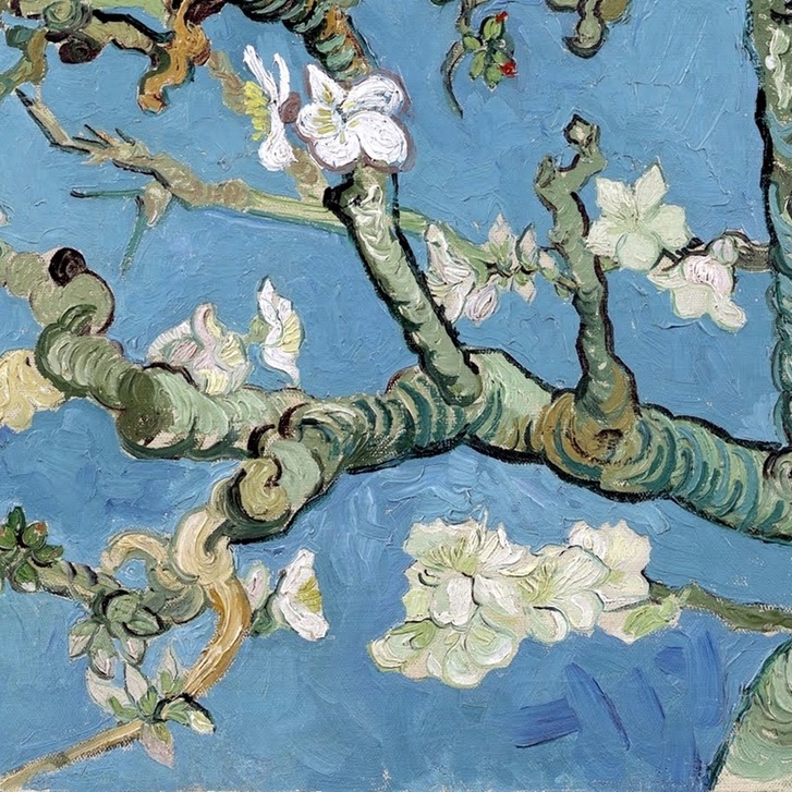 Almond Blossom (detail) ~ Vincent van Gogh