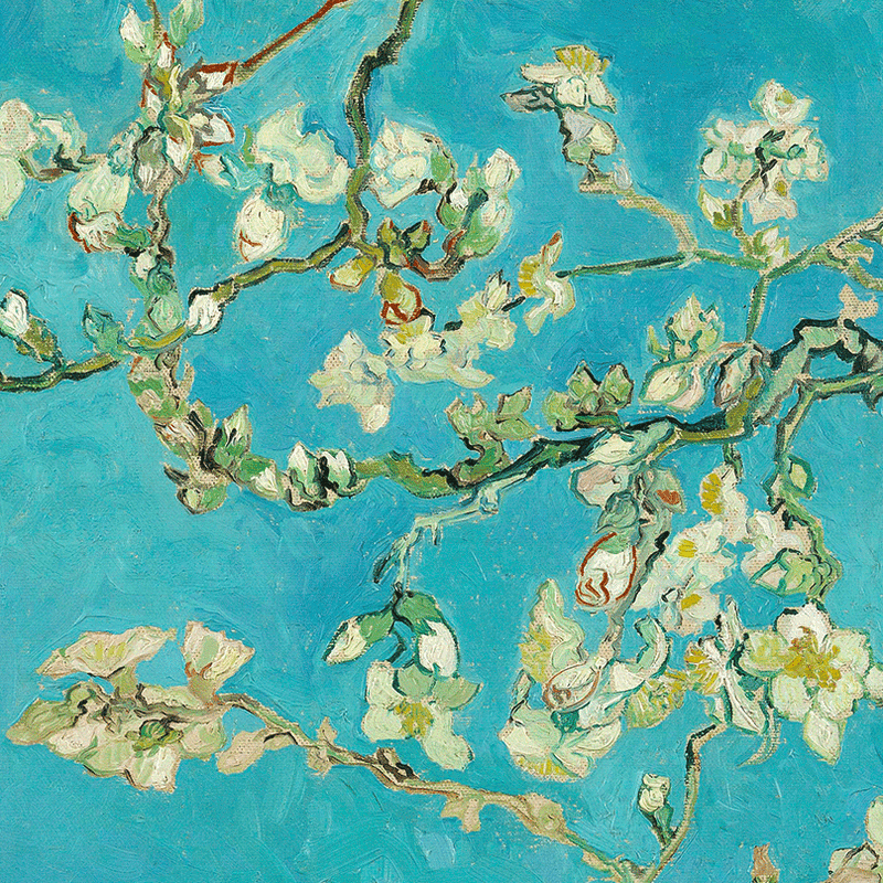Almond Blossom (detail) by Vincent van Gogh | Lone Quixote