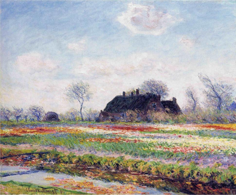 Tulip Fields at Sassenheim, near Leiden by Claude Monet