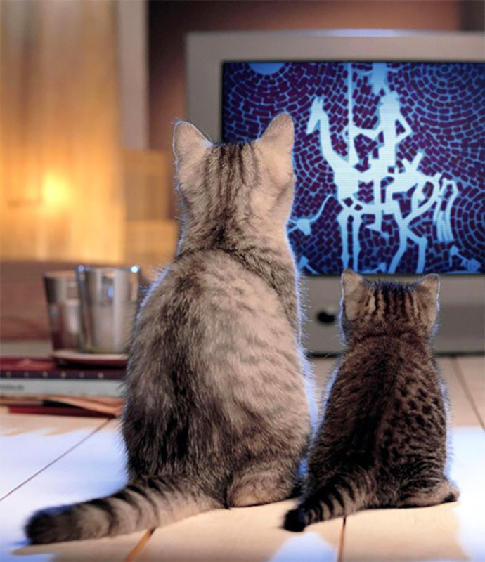Kittens, TV and Art