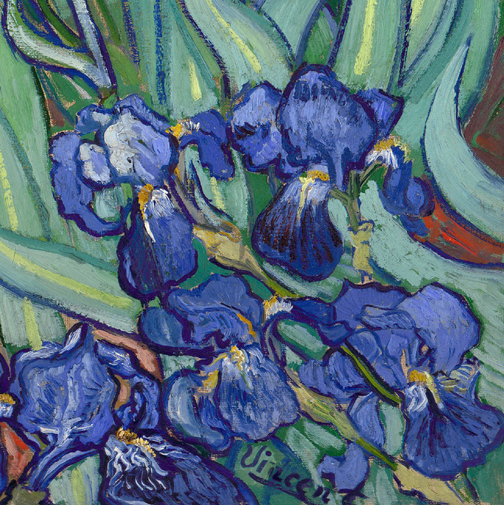 Irises (detail) by Vincent van Gogh