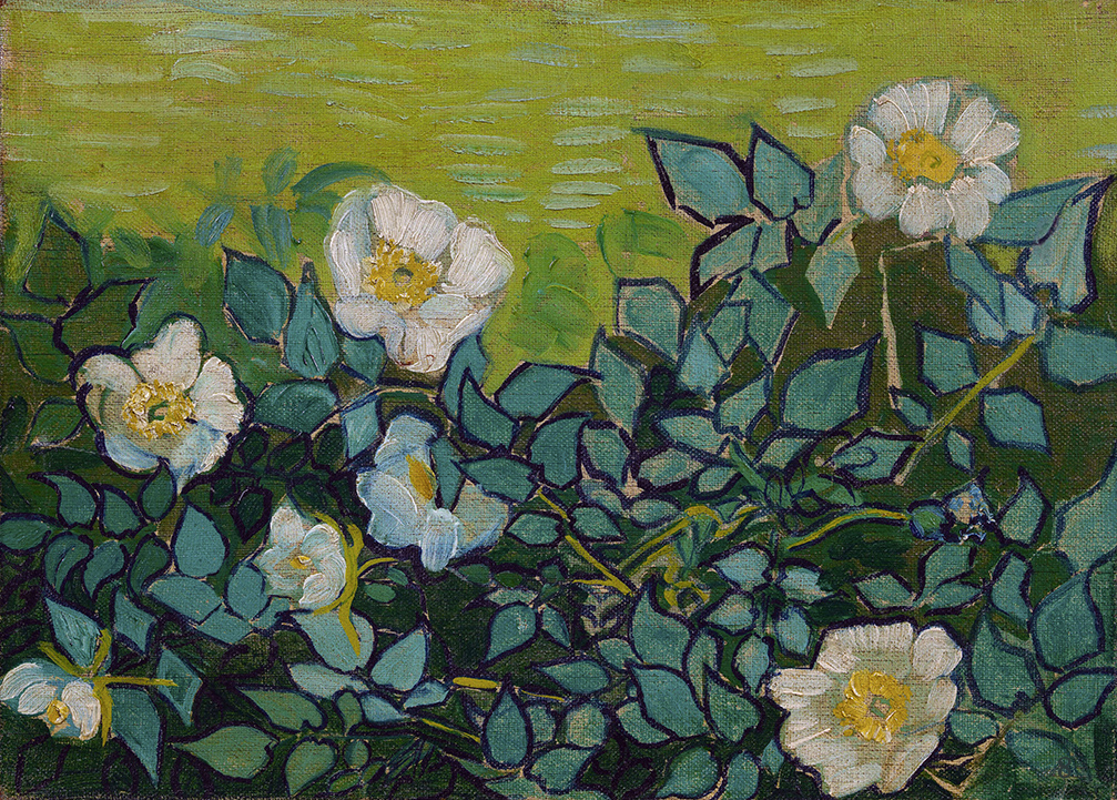 Wild Roses by Vincent van Gogh | Lone Quixote