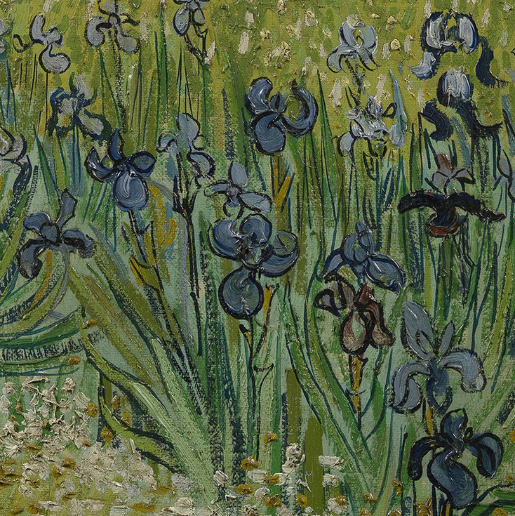 Field with Irises near Arles (detail) by Vincent van Gogh