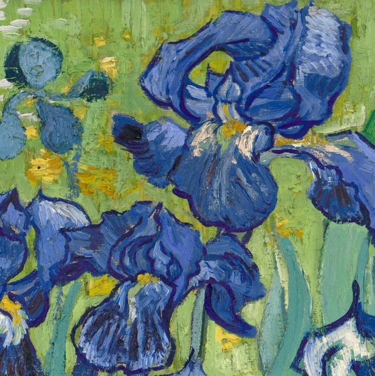 Irises (detail) ~ Vincent van Gogh