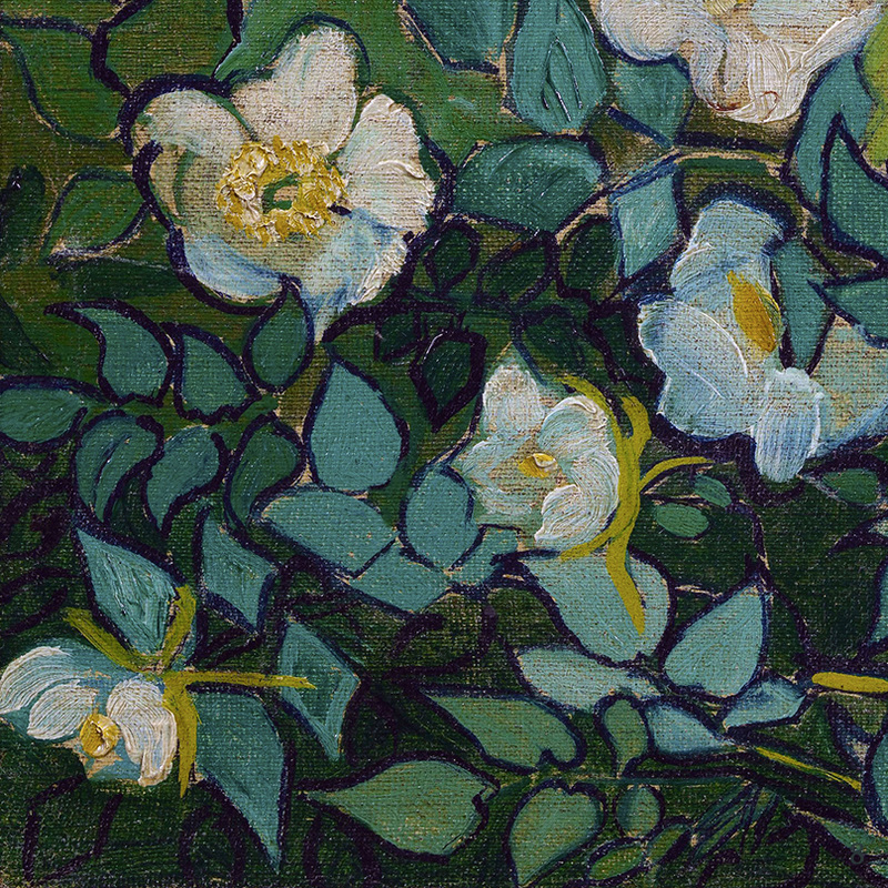 ​Wild Roses (detail) by Vincent van Gogh | Lone Quixote