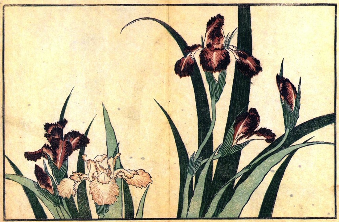 Irises by Katsushika Hokusai