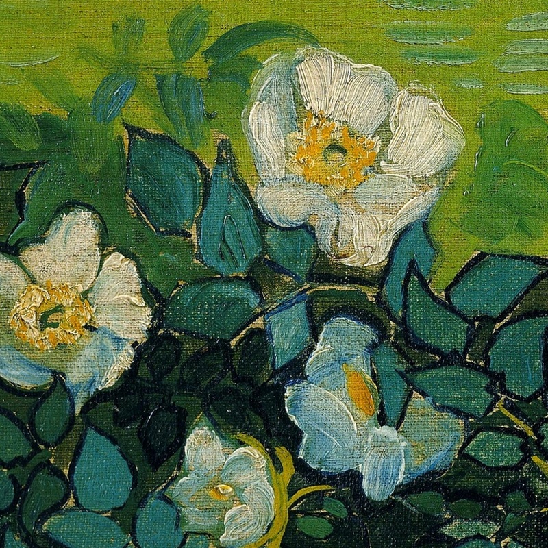 Wild Roses (detail) by Vincent van Gogh