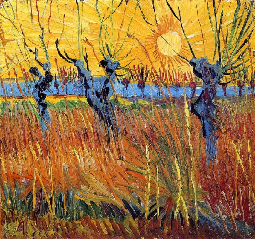 Pollard Willows and Setting Sun by Vincent Van Gogh