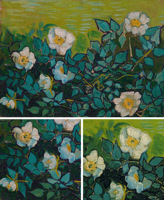 Wild Roses (with details) by Vincent van Gogh | Lone Quixote