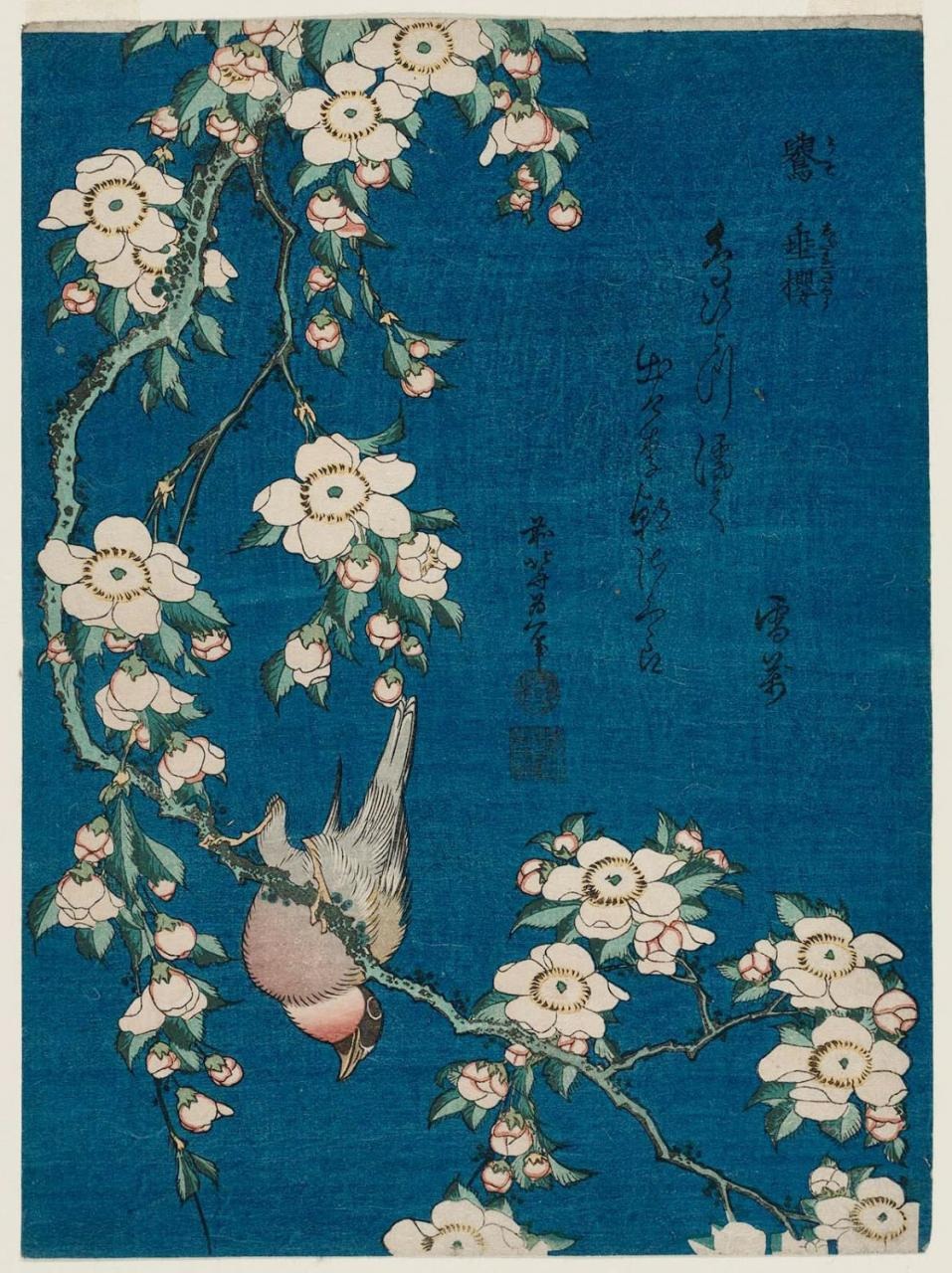 Bullfinch and Weeping Cherry (1834) by Katsushika Hokusai