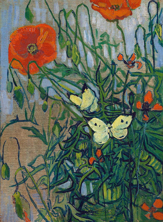 Butterflies and Poppies by Vincent van Gogh | Lone Quixote