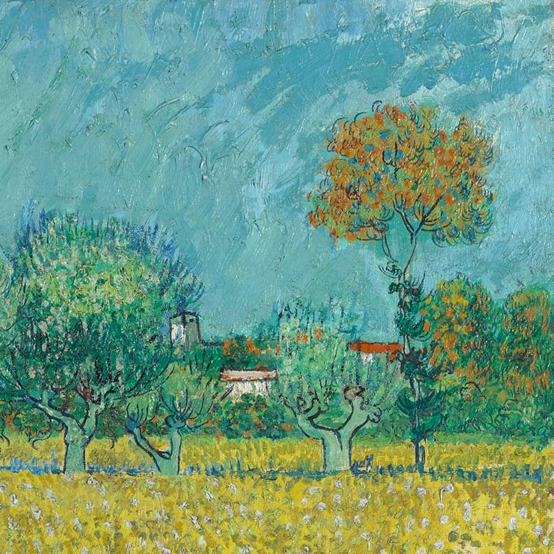 Field with Irises near Arles (detail) by Vincent van Gogh