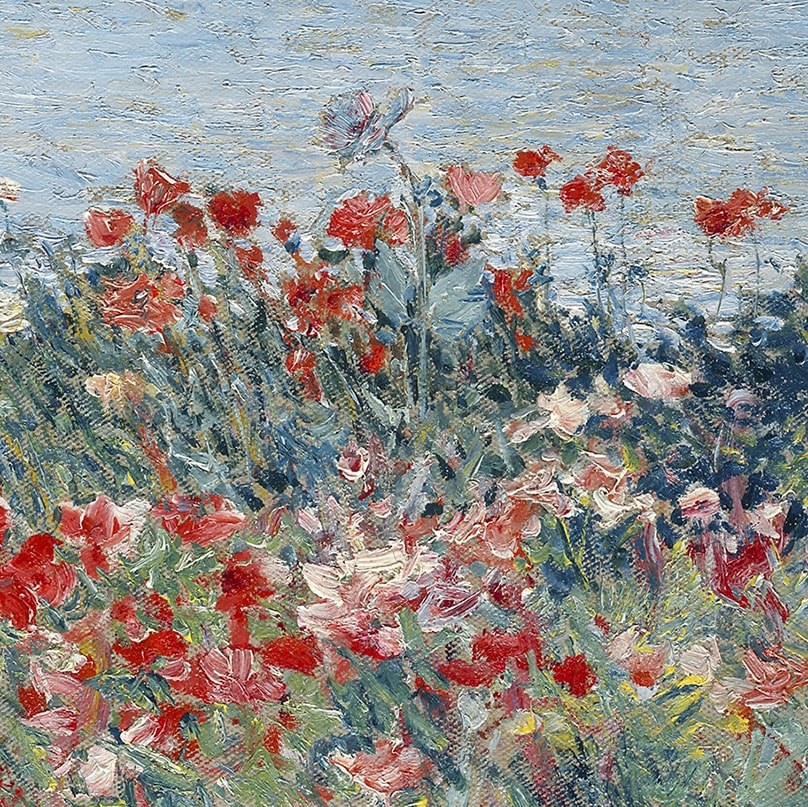 Poppies, Isles of Shoals (detail) 1891 by Childe Hassam