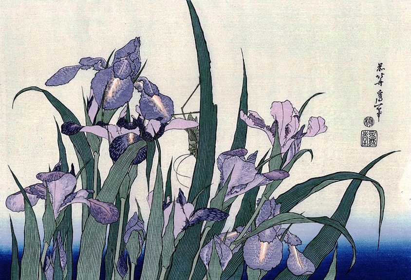 Iris Flowers and Grasshopper by Katsushika Hokusai