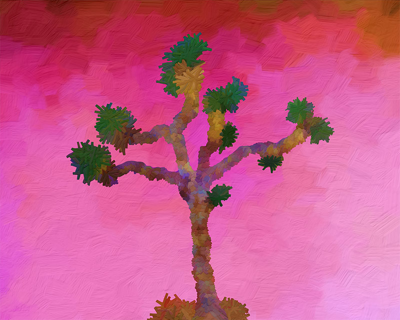 Joshua Tree (Crimson Rain) by Lone Quixote
