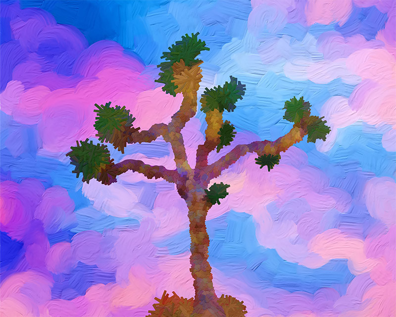 ​Joshua Tree (Pink Clouds) by Lone Quixote
