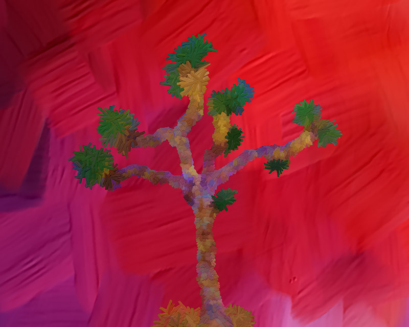 Joshua Tree (Red Sunset) by Lone Quixote