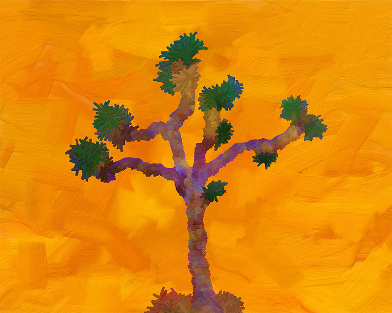 Joshua Tree (Sunflower Skies) by Lone Quixote