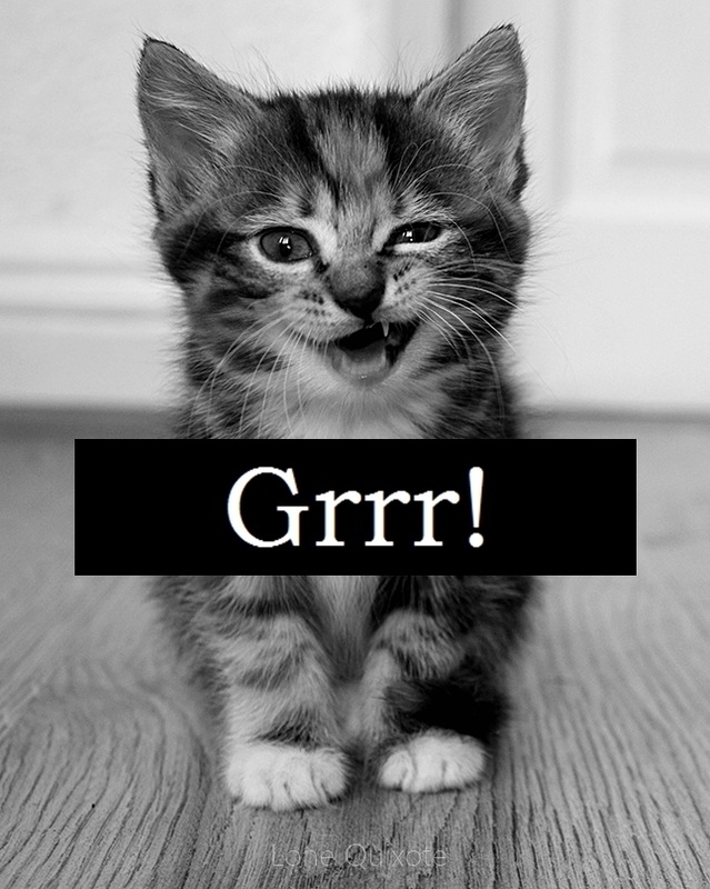 because sometimes... you just have to say... Grrr! | Lone Quixote