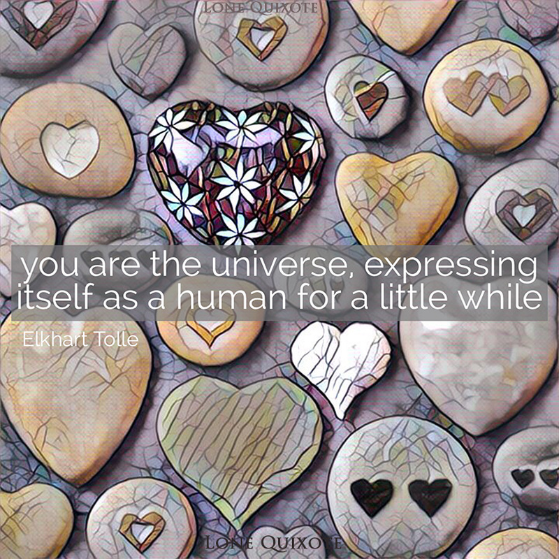 you are the universe, expressing itself as a human for a little while ​-- Ekhart Tolle | Lone Quixote
