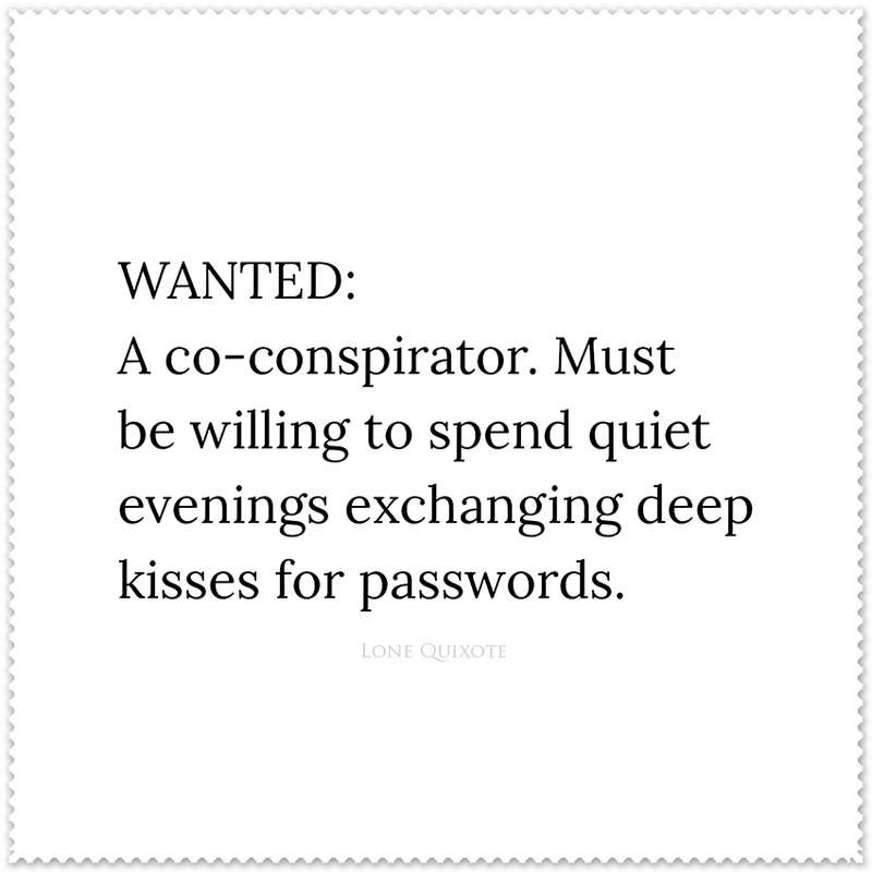 WANTED: A co-conspirator. Must be willing to spend spend quiet evenings exchanging deep kisses for passwords.  | Lone Quixote